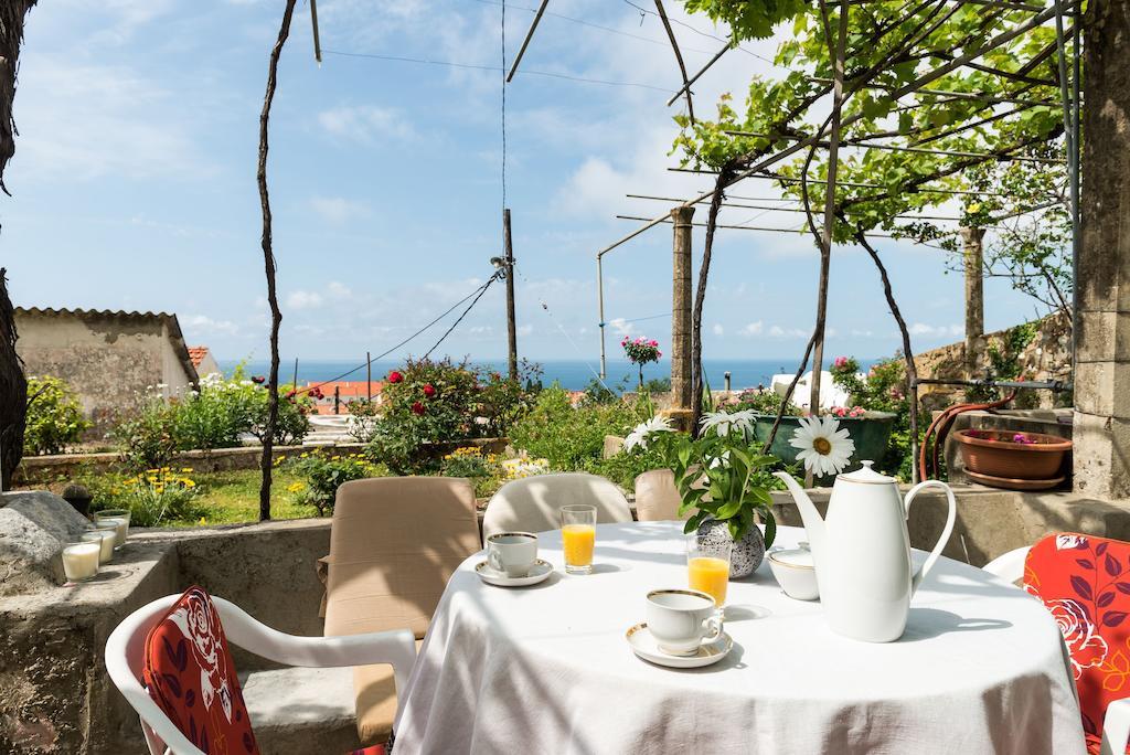 House Verde - Private House With Seaview Дубровник Стая снимка